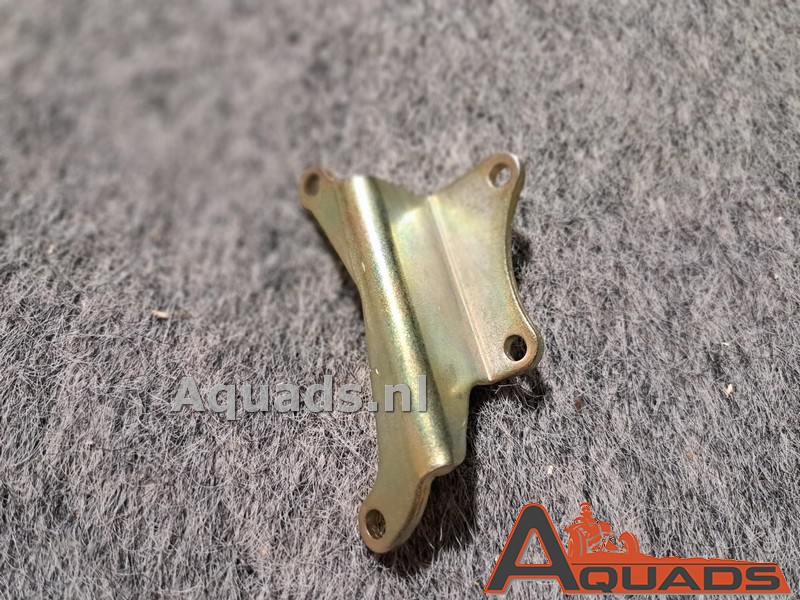 Montageplatte fr Anlasser Bashan 300s-A